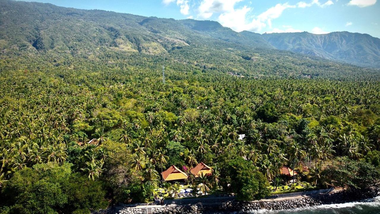 Alam Mimpi Bali Hotel Tejakula Luaran gambar